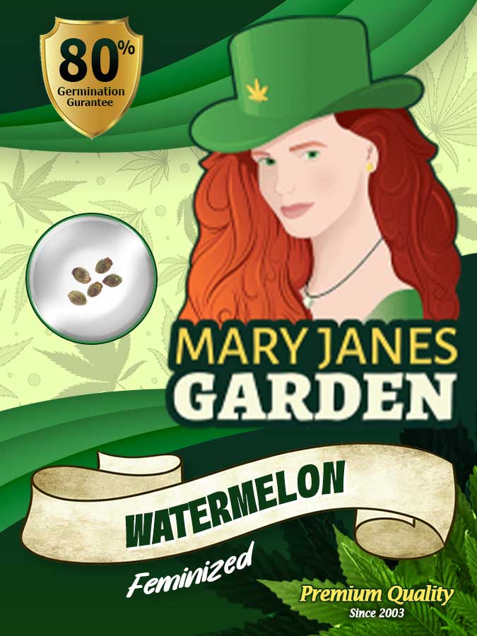 Watermelon seeds at Mary Jane's Garden