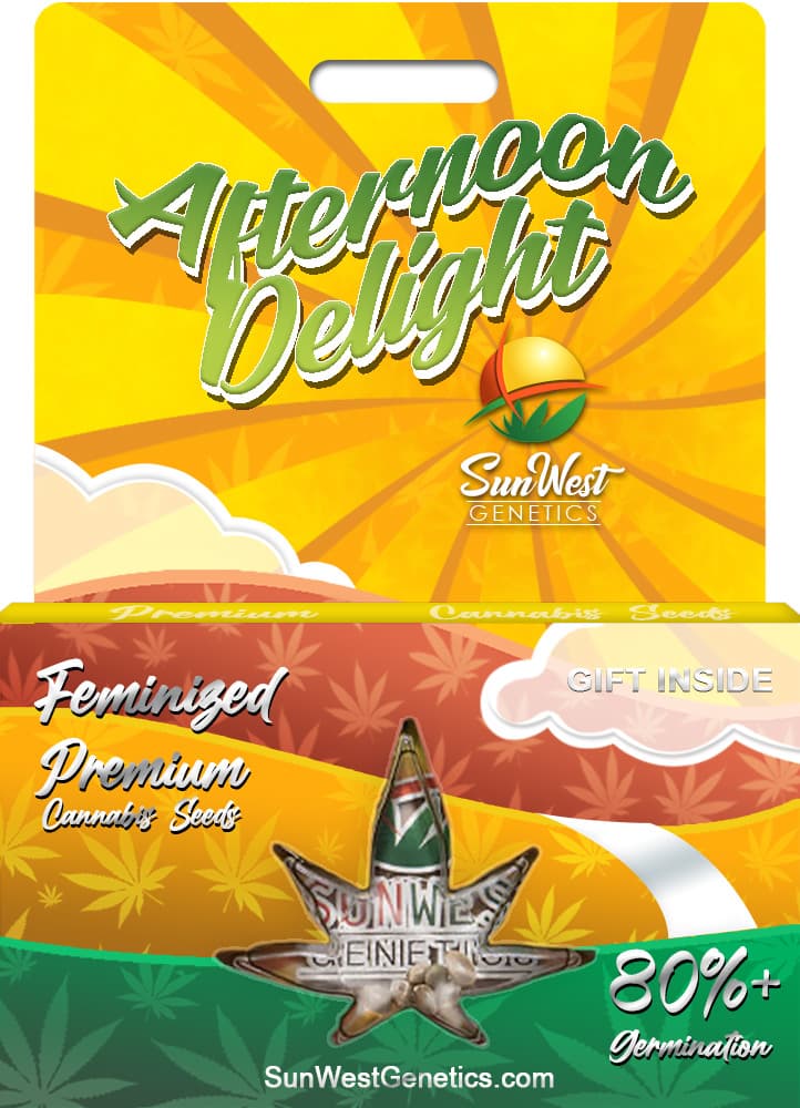 Afternoon Delight seeds at Sunwest Genetics
