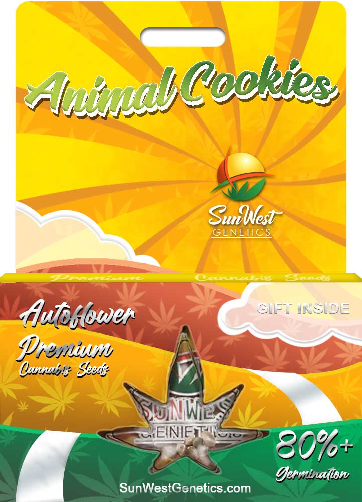 Animal Cookies seeds at Sunwest Genetics