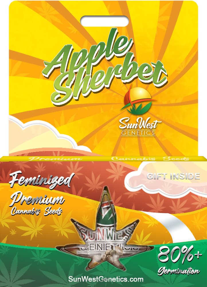 Apple Sherbet Feminized