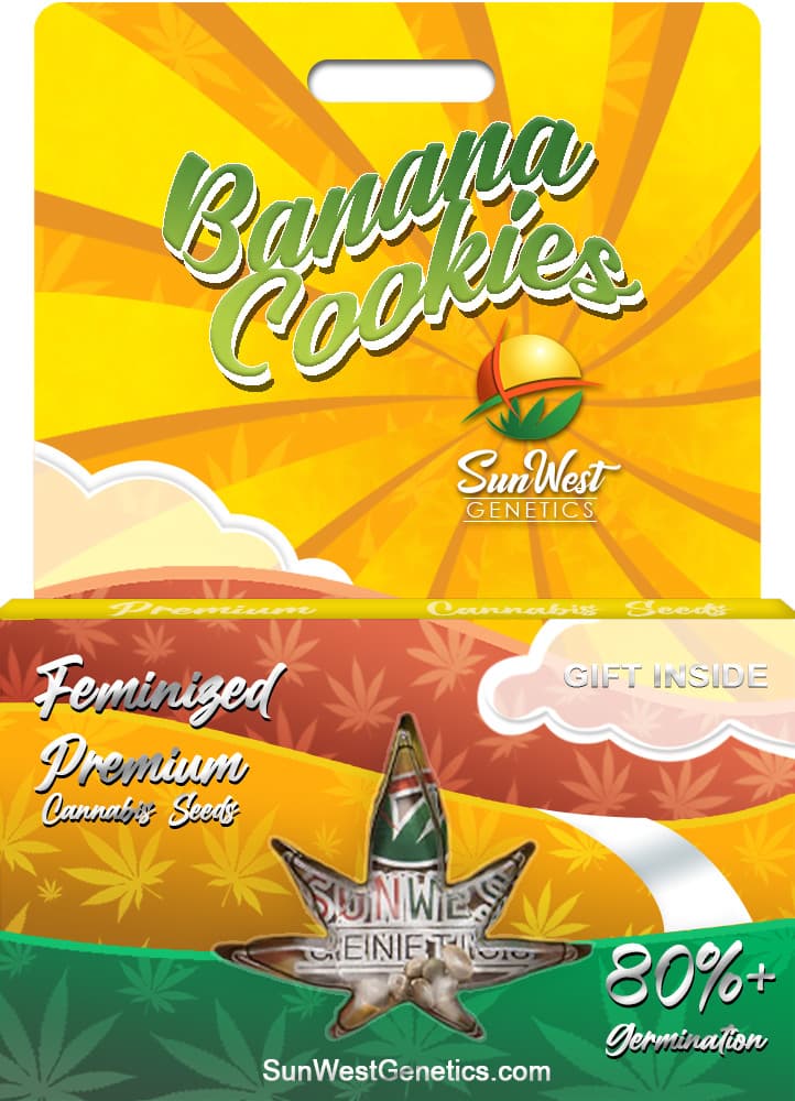 Banana Cookies Feminized