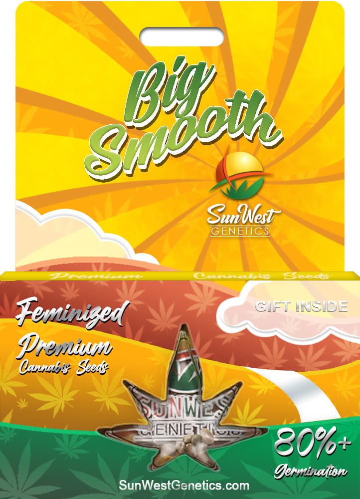 Big Smooth Feminized