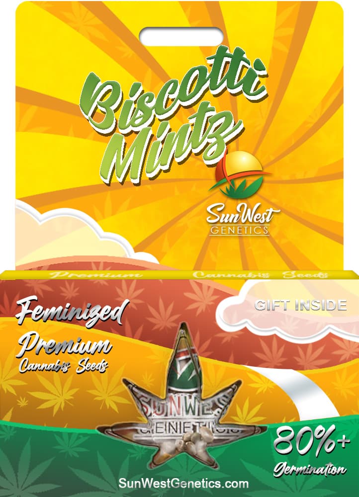 Biscotti Mintz Feminized