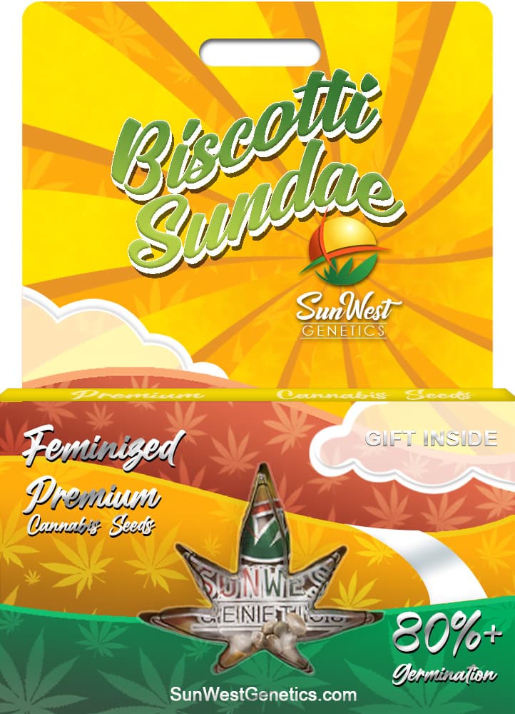 Biscotti Sundae seeds at Sunwest Genetics