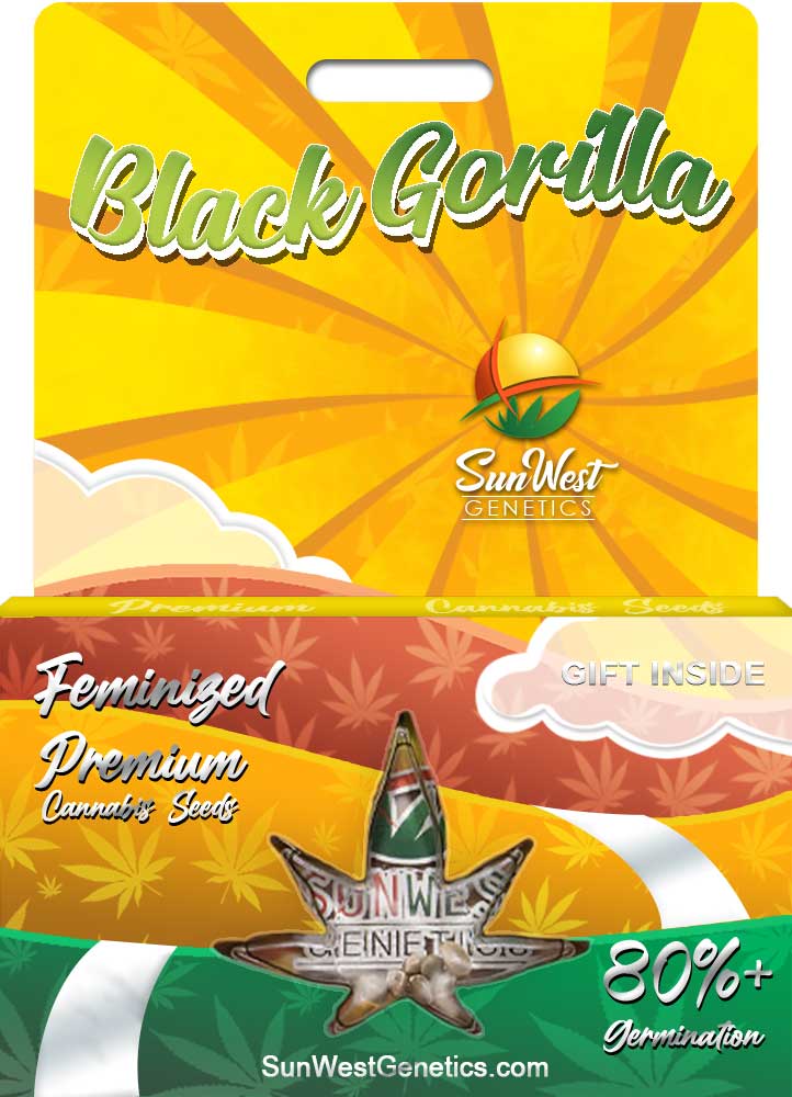 Black Gorilla seeds at Sunwest Genetics