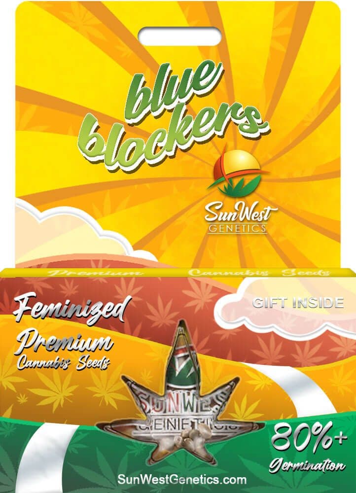 Blue Blockers Feminized