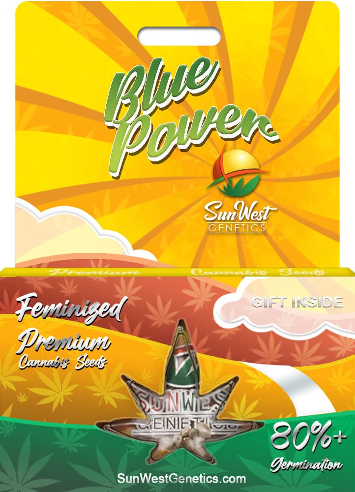 Blue Power seeds at Sunwest Genetics