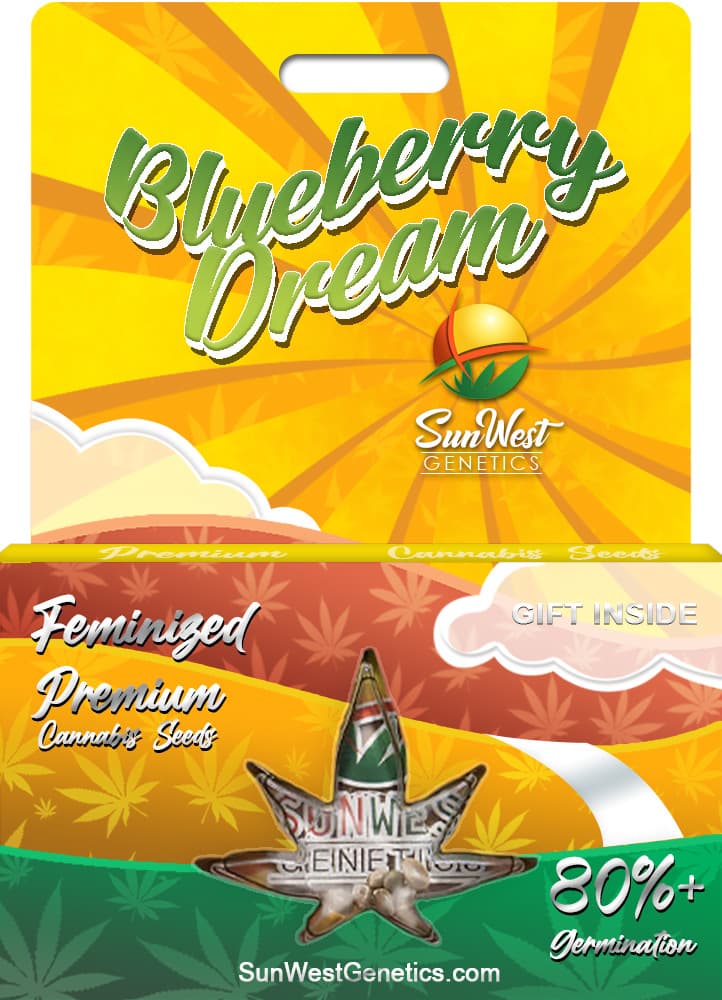 Blueberry Dream seeds at Sunwest Genetics