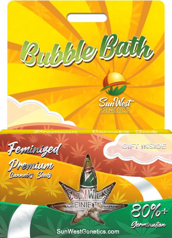 Bubble Bath seeds at Sunwest Genetics