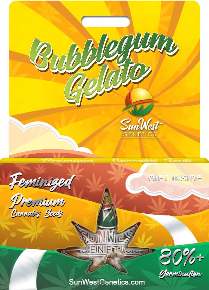 Bubblegum Gelato seeds at Sunwest Genetics