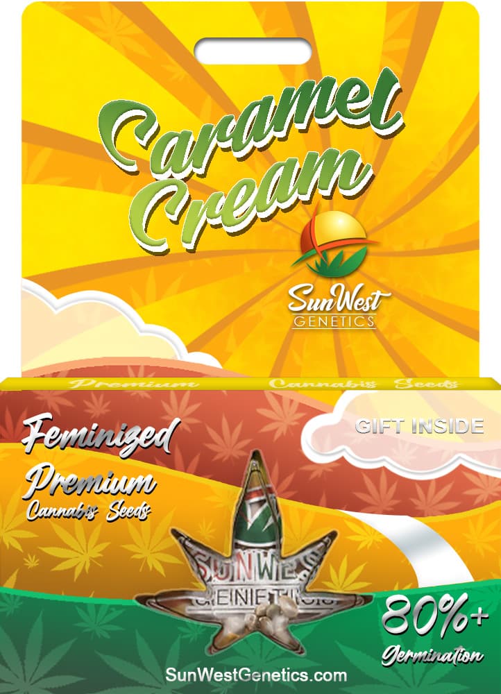 Caramel Cream seeds at Sunwest Genetics