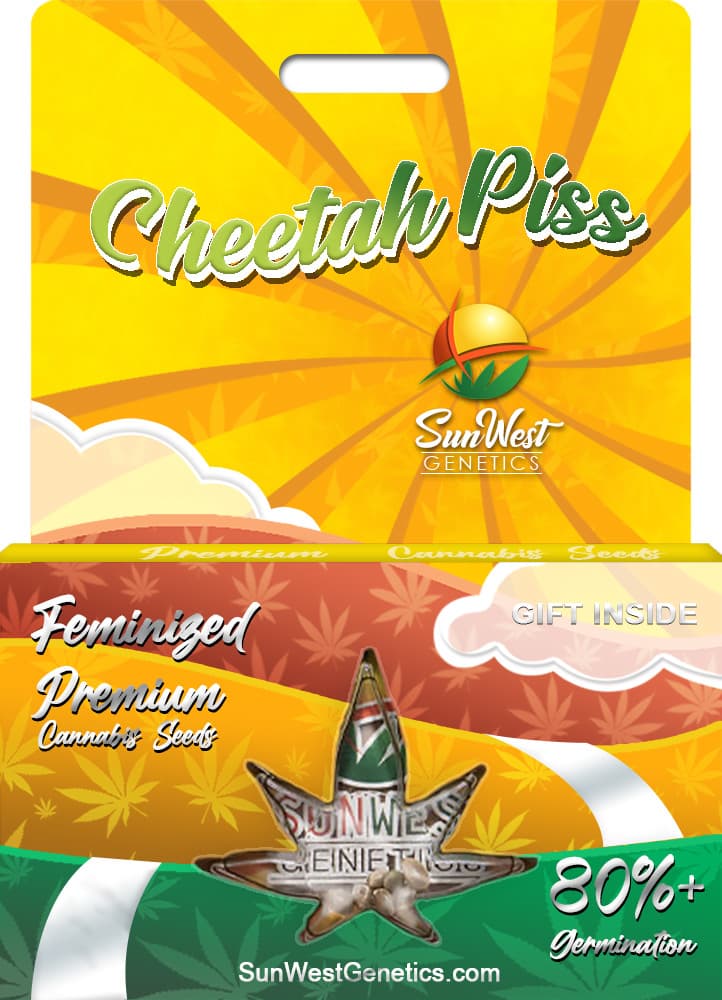 Cheetah Piss Feminized