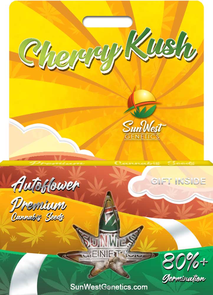 Cherry Kush seeds at Sunwest Genetics