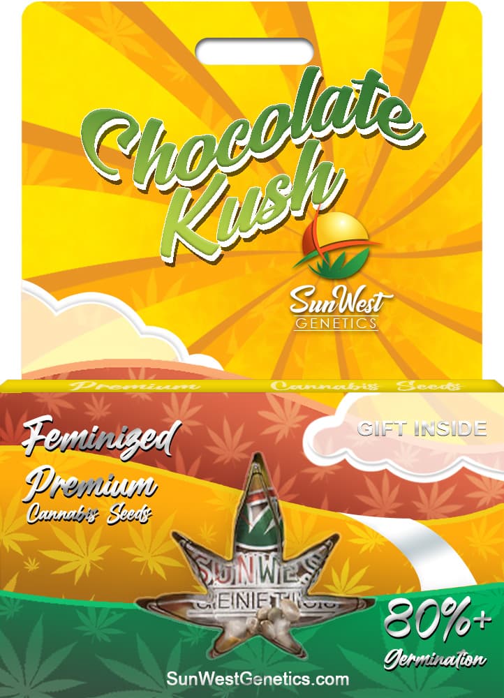 Chocolate Kush seeds at Sunwest Genetics
