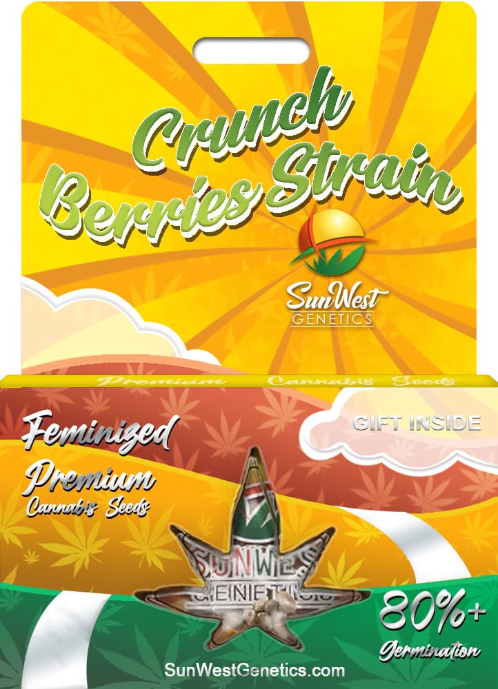 Crunch Berries seeds at Sunwest Genetics