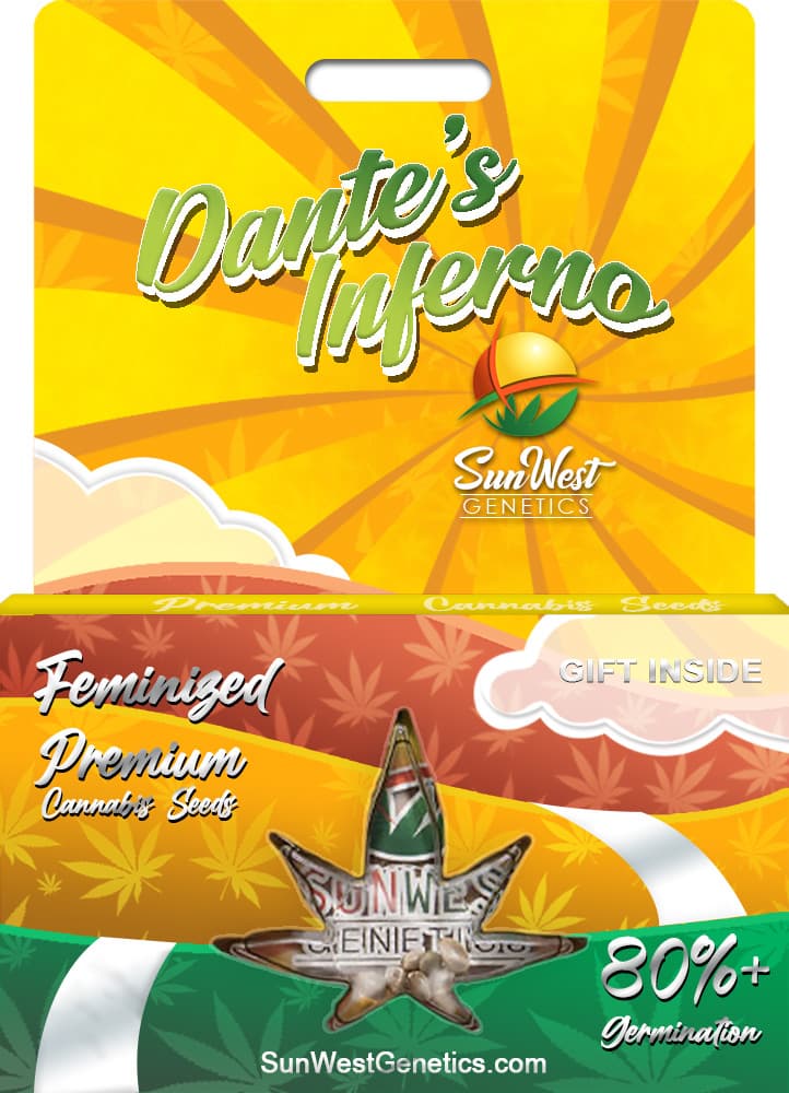 Dante's Inferno Feminized