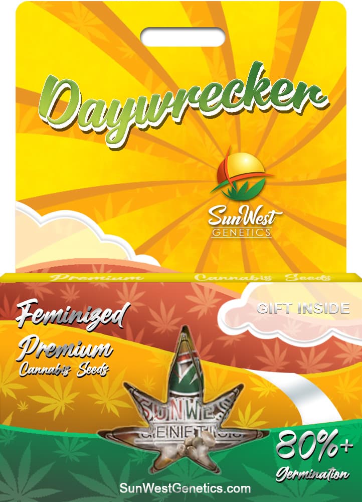 Daywrecker Feminized