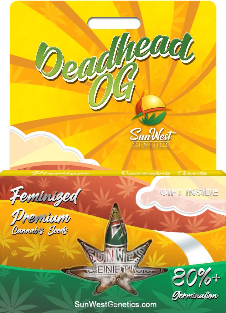 Deadhead OG seeds at Sunwest Genetics