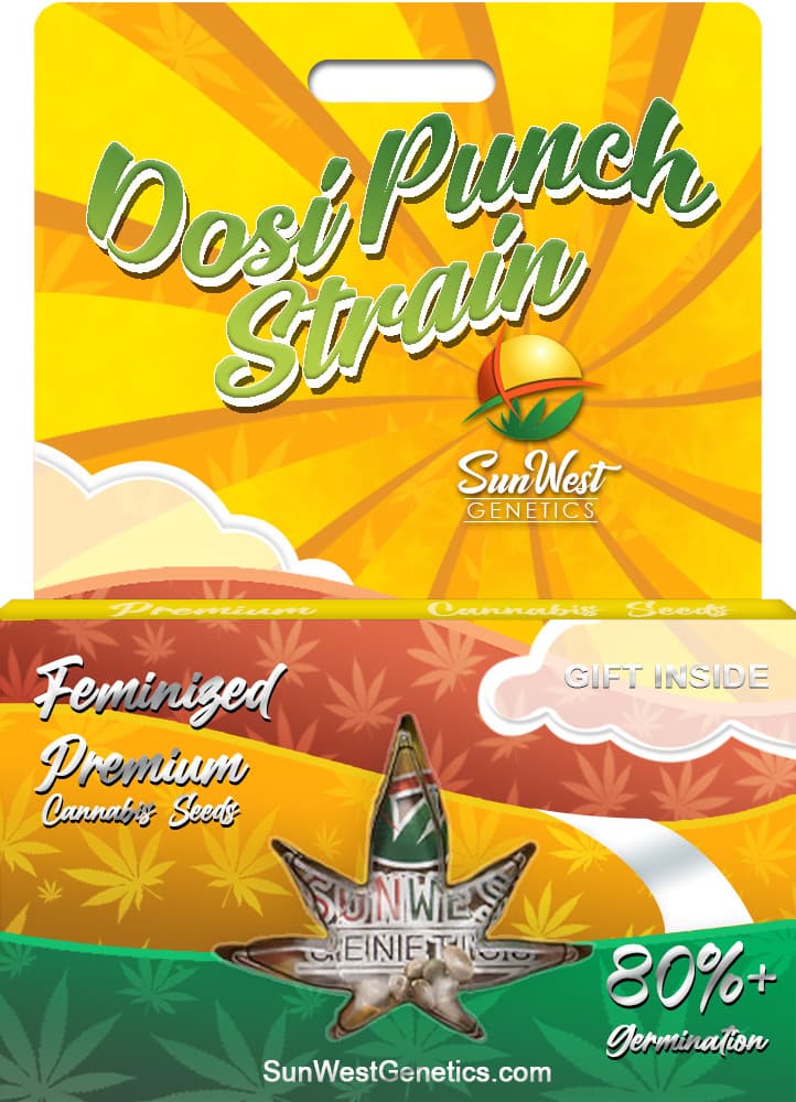 Dosi Punch seeds at Sunwest Genetics