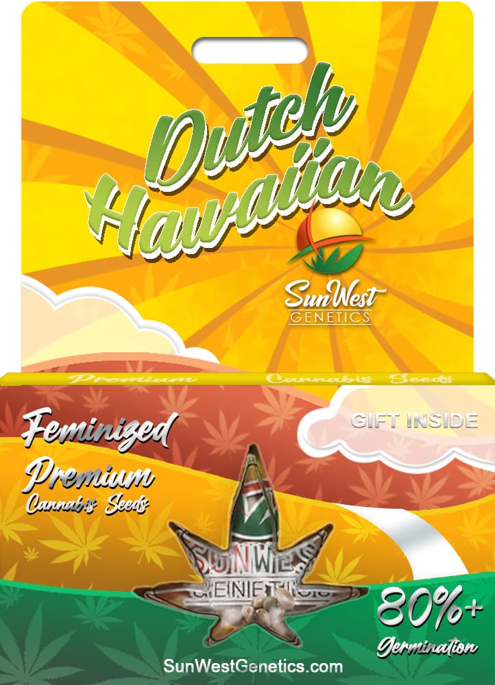 Dutch Hawaiian seeds at Sunwest Genetics