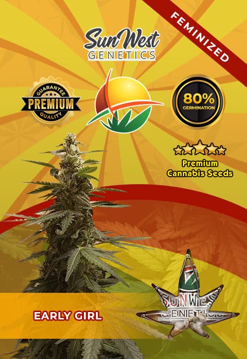 Early Girl seeds at Sunwest Genetics