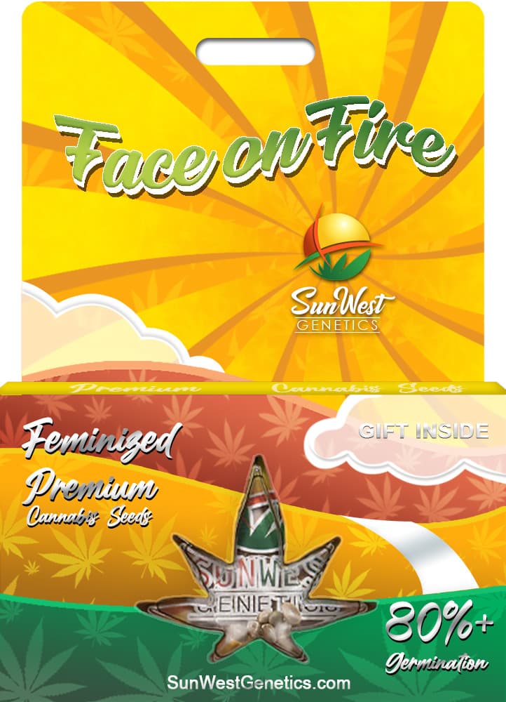 Face on Fire Feminized