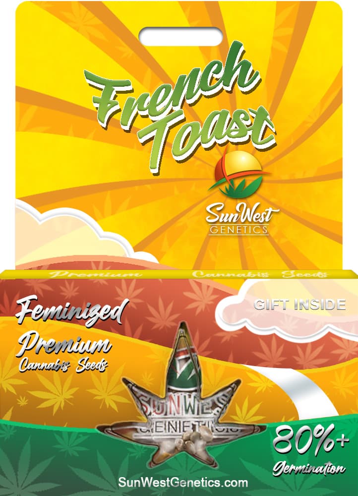 French Toast Feminized