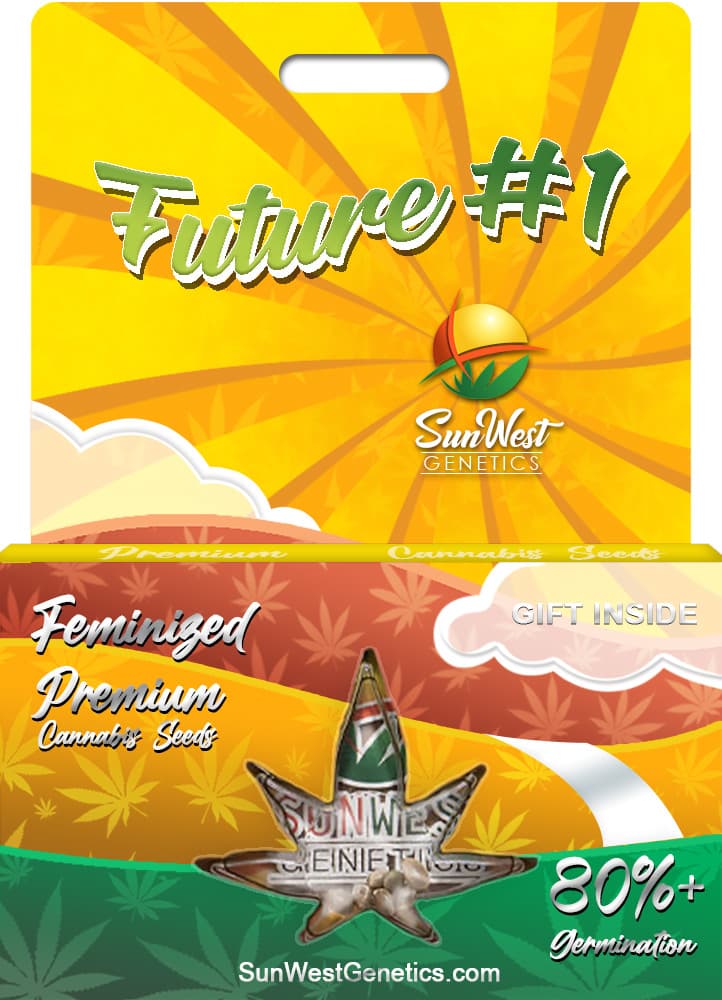 Future 1 Feminized