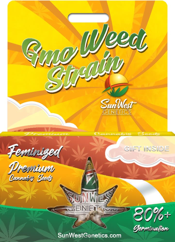 GMO seeds at Sunwest Genetics