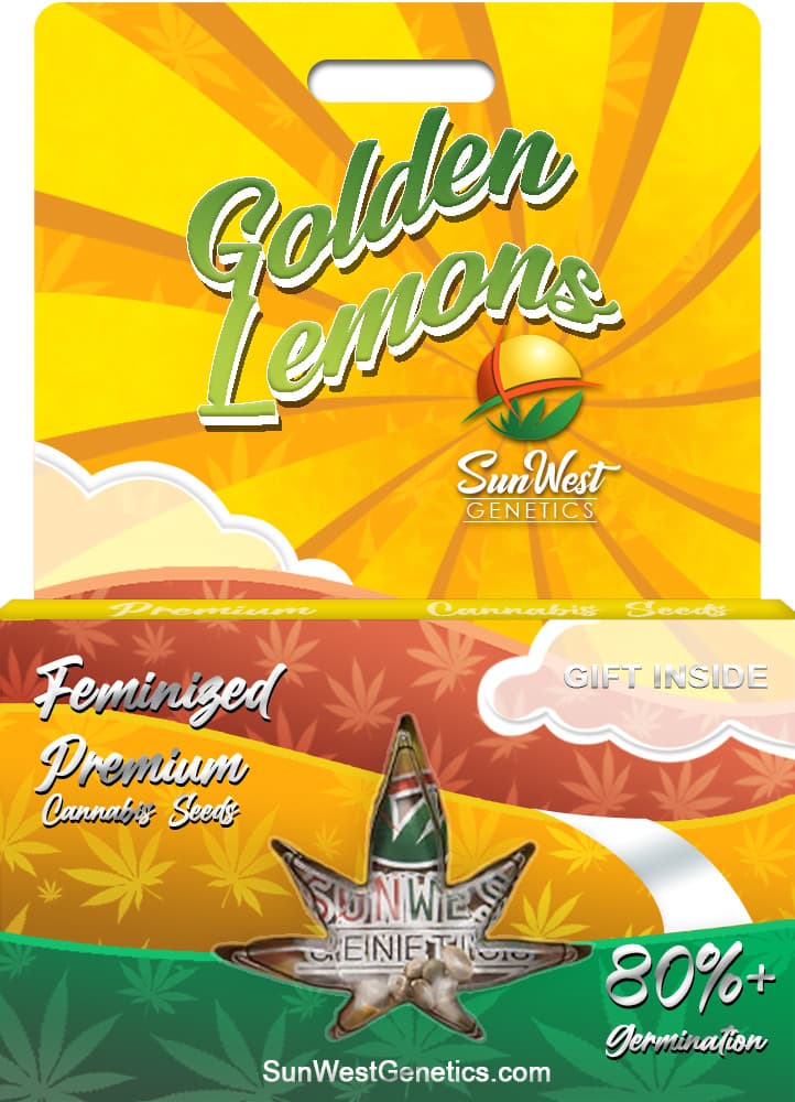 Golden Lemons Feminized