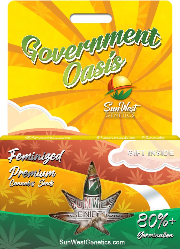 Governmint Oasis seeds at Sunwest Genetics