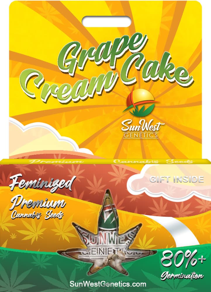 Grape Cream Cake Feminized