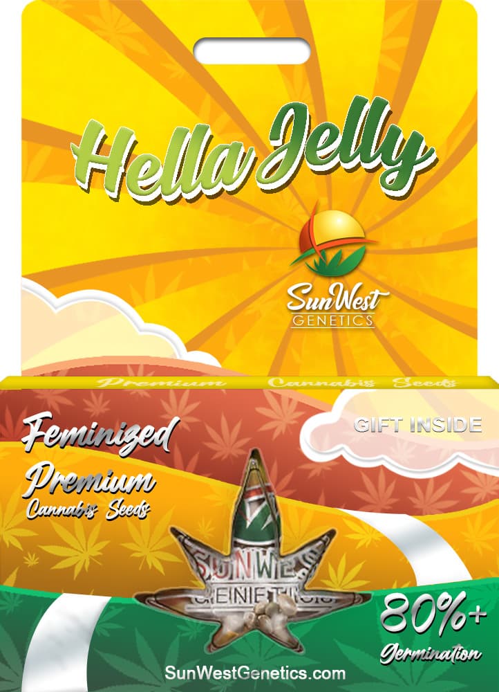 Hella Jelly Feminized