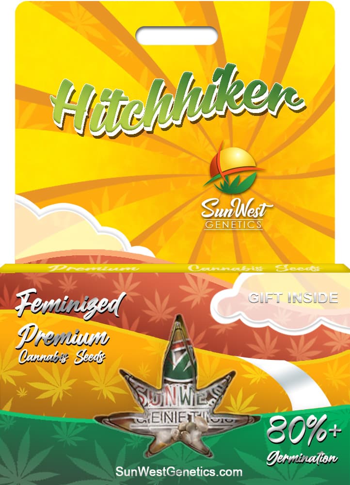 Hitchhiker Feminized