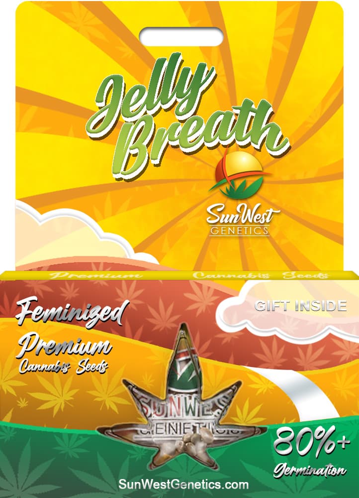 Jelly Breath seeds at Sunwest Genetics
