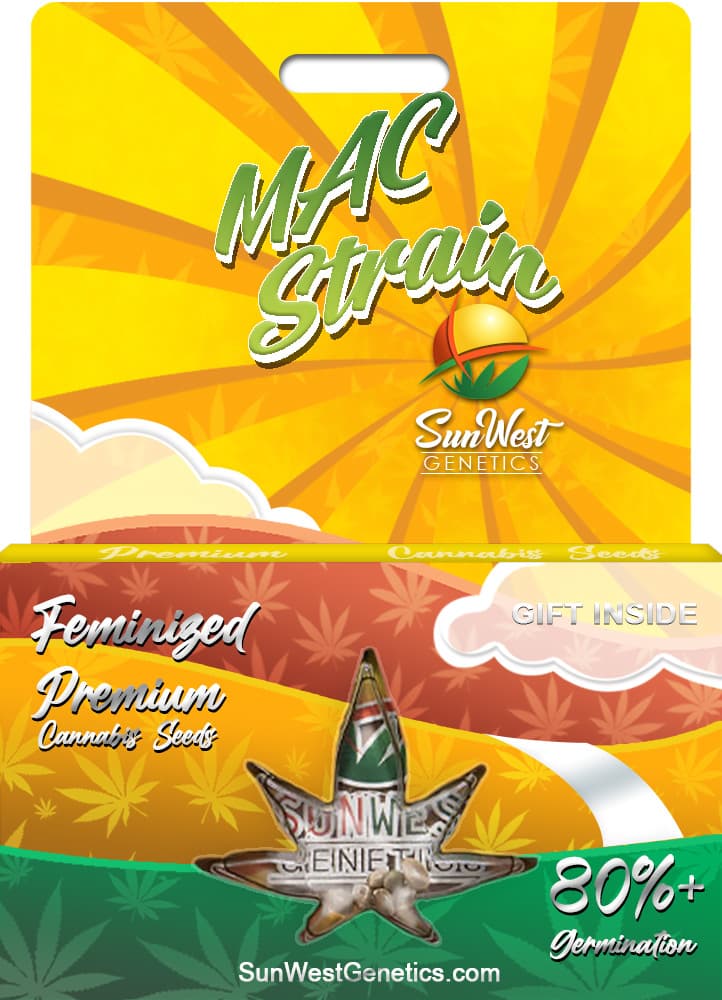 MAC seeds at Sunwest Genetics