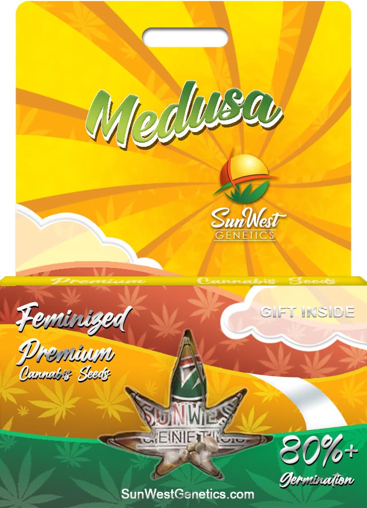 Medusa Feminized