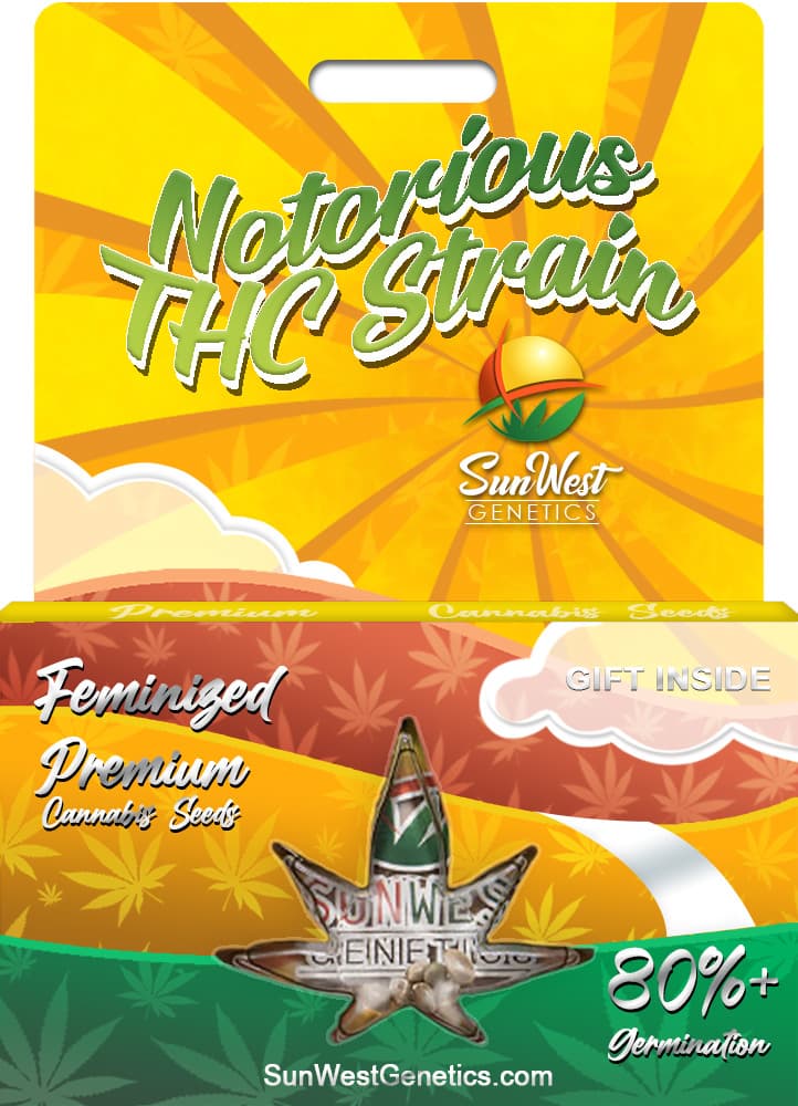 Notorious THC seeds at Sunwest Genetics