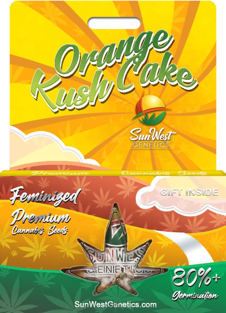 Orange Kush Cake seeds at Sunwest Genetics