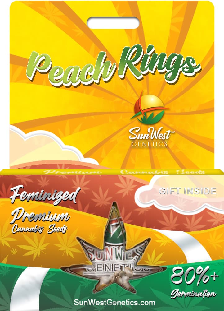 Peach Rings seeds at Sunwest Genetics