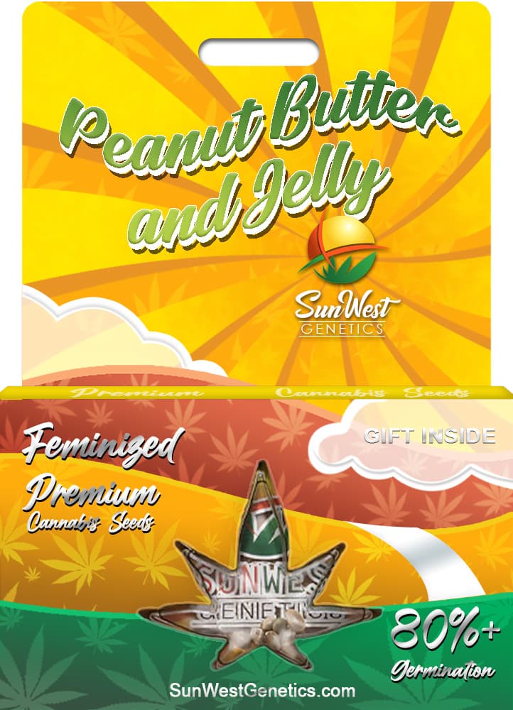 Peanut Butter and Jelly seeds at Sunwest Genetics