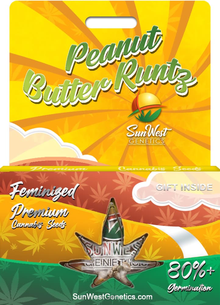 Peanut Butter Runtz seeds at Sunwest Genetics
