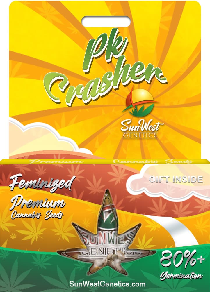 PK Crasher Feminized