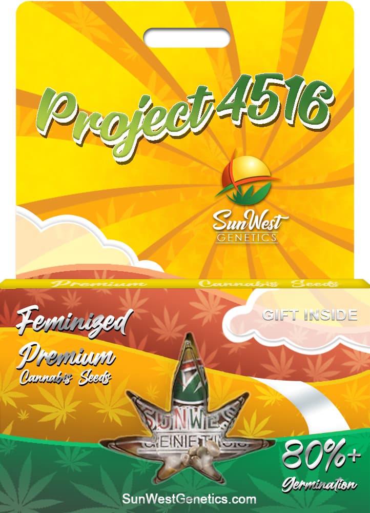 Project 4516 seeds at Sunwest Genetics
