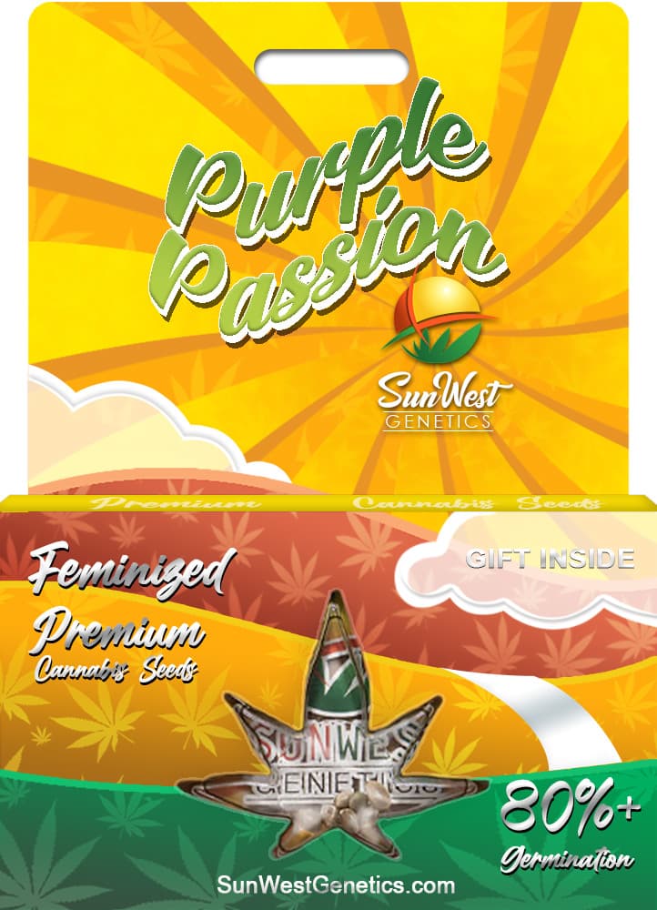 Purple Passion seeds at Sunwest Genetics
