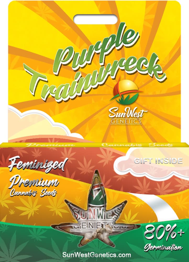 Purple Trainwreck seeds at Sunwest Genetics