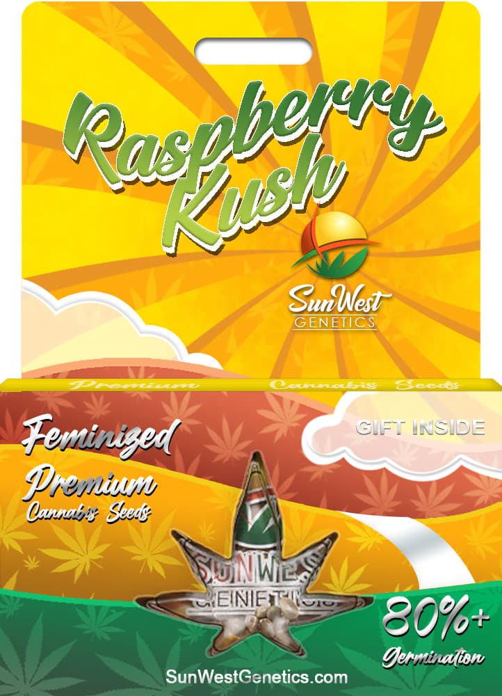 Raspberry Kush seeds at Sunwest Genetics