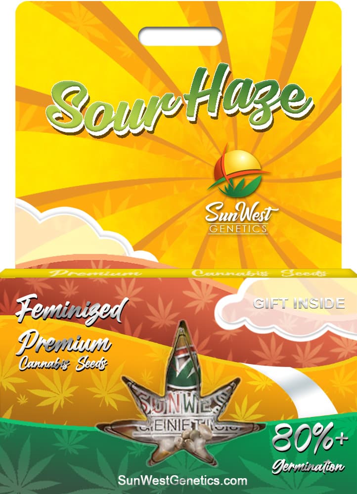 Sour Haze Feminized