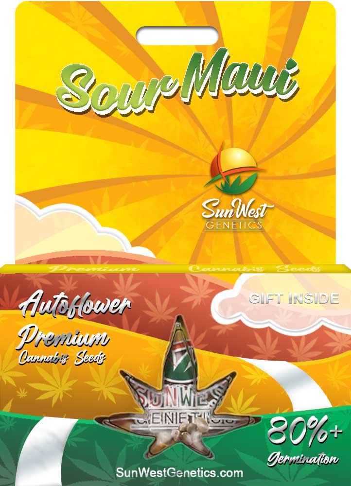 Sour Maui seeds at Sunwest Genetics