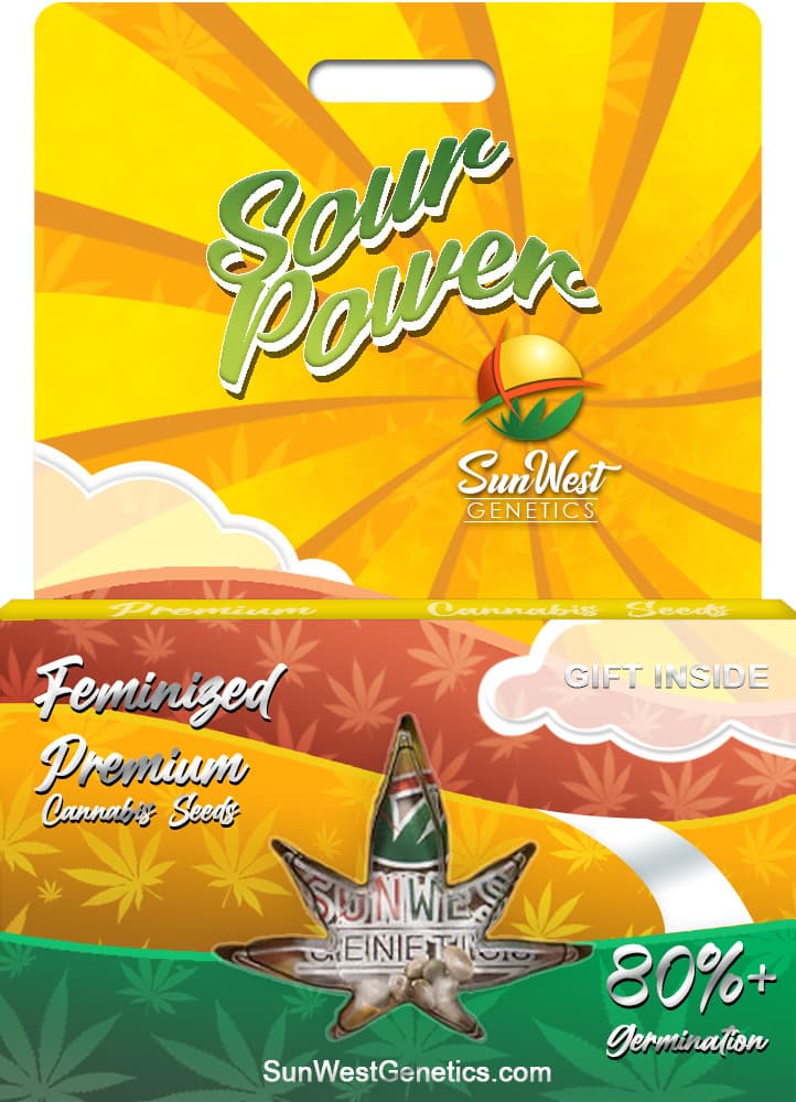 Sour Power seeds at Sunwest Genetics
